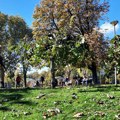 Kakvo će vreme biti danas?