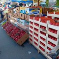Cene povrća: Lazarevac u odnosu na Srbiju