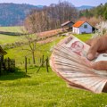 Želite u biznis u poljoprivredi? Opredeljeno 100 milijardi za subvencije! Ljubiša posle krađe jagnjadi oporavio imanje, a…