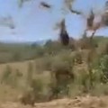 (Video) Čudna pojava nalik tornadu snimljena kod Kraljeva: Sunce upeklo, napolju ni trunke vetra, a seno nosi jak vrtlog