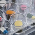 Farmaceutski fakultet u Beogradu demantuje da je jedan studijski program izgubio akreditaciju