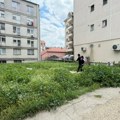 Krpelji jedva čekaju da izađeš iz stana - Bubanj opkoljen travom (FOTO)