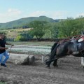 Trnava u nedelju domaćin prve štraparijade
