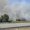(Foto) Veliki požar pored auto-puta kod Umčara! Gusti oblaci dima se izdižu, smanjena vidljivost