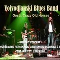 Koncert Vojvođanskog bluz benda za podršku personalnoj asistenciji u subotu