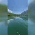 Sve za ljubav Srndać preplivava jezero Perućac kako bi u susednoj Bosni našao devojku (foto)