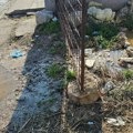 (FOTO) Ponovo se izlila kanalizacija u Mirijevu: Fekalne vode na trotoaru i kolovozu