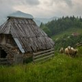 Izabrane najlepše fotografije Tare: Tragom zaboravljenih čobana