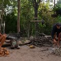 „Čudo doktorke Sneže“: Milanka Muždalo se opekla na vatru u Survivor-u, Matija Novković odmah sprečio bolove VIDEO