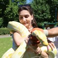 Beo zoo vrt slavi 90. rođendan Preživeo dva bombardovanja, dom je najstarijeg aligatora na svetu, a danas u njemu živi oko…