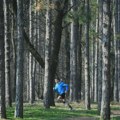 Drvo palo i povredilo nekoliko osoba: Haos na proslavi rođendana u Košutnjaku u Beogradu