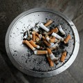Svetski dan bez duvanskog dima – Duvan: Pretnja našoj životnoj sredini Zrenjanin - Svetski dan bez duvanskog dima Svetski…