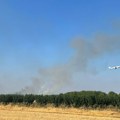 "Ugrožava zdravlje": Hitan apel Ministarstva poljoprivrede građanima Srbije: Inspekcija na terenu, biće i kazni