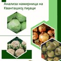 Voće i povrće na Kvantaškoj pijaci bezbedno za ishranu