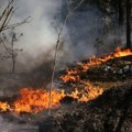 Veliki požar u Černobiljskoj zoni zahvatio 1.200 hektara šume