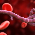 Šta je ebola: Simptomi, prenošenje i zašto svet strahuje od nove epidemije