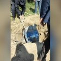 Otkopano bure kod Inđije, tužilaštvo sumnja da je u njemu telo Aleksandra Nešovića