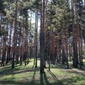 Može li zelenije? Zlatibor prvi iz Srbije među 100 svetskih turističkih zelenih destinacija
