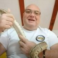 U Pančevu viđena jedna od najotrovnijih zmija? Oglasio se naš čuveni zmijolovac, pa otkrio: Ovo nikako ne radite u slučaju…