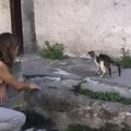 Glumica tužila producente filma koji se snimao u Hrvatskoj: "Ako pokušavate da ubijete osobu, sjajno vam ide"