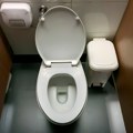 Prenose li se polne bolesti preko WC šolje? Evo šta kažu stručnjaci
