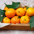 Mandarine – vitaminska bomba za organizam! Postoji čak 7 zdravstvenih benefita koji će vas odmah naterati da ih jedete svaki…