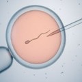 Донор сперме са ретком генетском мутацијом која узрокује рак отац је 200 деце - нека већ умрла