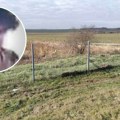 Sumnja se da je ovo uzrok smrti Milice Asanović (25): Telo pronađeno pored puta poslato na obdukciju