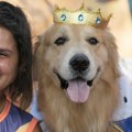 Ovi lepotani će vam ulepšati dan! Na karnevalu u Riju održana ulična zabava za pse i njihove vlasnike: "Oni su deo naše…