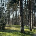 Dva najlepša parka u centru Čačka dobila ime: Zvaće se po legendarnoj glumici i Milici Rakić