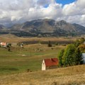 Afrička kuga svinja širi se Srbijom: Žarište u ovom delu, stočari u panici, leka nema