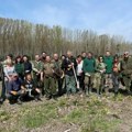 Pokrajini nedostaje 100 miliona sadnica: Vojvodina je decenijama najslabije pošumljeni deo Srbije i Evrope