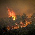 Hrvatska: Požar preti kućama kod Dubrovnika, kanaderi prizemljeni zbog vetra