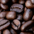 Kafa i kakao usladišteni u EU u riziku od uništenja