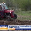 Leskovački poljoprivrednici ne znaju za odmor: Sadnja krompira počela 20 dana ranije VIDEO