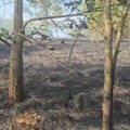 Ogroman šumski požar zahvatio delove sela Koštunići