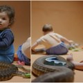 Је л' бисте допустили свом малом наследнику да дира Миливоја? Ново истраживање показује како бебе заиста реагују на змије
