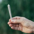 Legalizovana upotreba marihuane u Nemačkoj: Od 1. jula biće moguće kupiti travu preko „kanabis klubova“