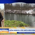 Više smeća nego ribe: Južna Morava je sada Tužna Morava VIDEO