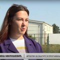 Novi Sad: Na Klisi najveća urbana kolonija belih roda u ovom delu Evrope (AUDIO)