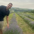 Provansa u srcu zapadne Srbije Bojan umesto šljiva i kajsija gaji lavandu i od nje pravi jedinstven liker