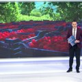 Od "crvenog zlata" do trećeg mesta: Zašto Srbija više nije lider u proizvodnji maline