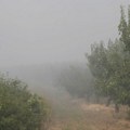 "Stara deponija u Vinči još nije sanirana, postoji značajan rizik od požara"