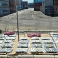 Novosadska policija zaplenila oko 85 kilograma narkotika, uhapšene tri osobe