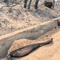 Novi požari na Rodosu, ali i na Krfu i Eviji