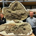 Životinje: Naučnici otkrili šta je poslednje jeo tiranosaurus