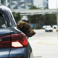 Bez većih gužvi na graničnima prelazima, na rampama auto-puteva bez zadržavanja