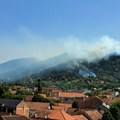 Požar na Vršačkom bregu pod kontrolom