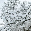 Od četvrtka sneg u brdsko-planinskim predelima na jugu Srbije