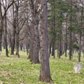 Pronađeno telo otetog biznismena iz BiH! Bio je zakopan u šumi u stranoj državi, a otkriveno i kako je preminuo